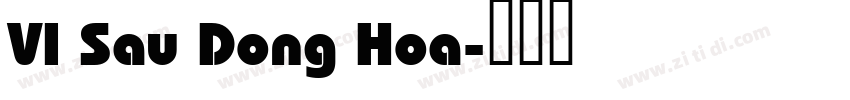 VI Sau Dong Hoa字体转换
